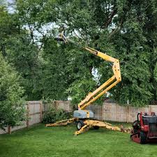 Best Lawn Maintenance Plans  in Joppatowne, MD